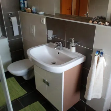 Apartman Zofie Destne v Orlickych horach
