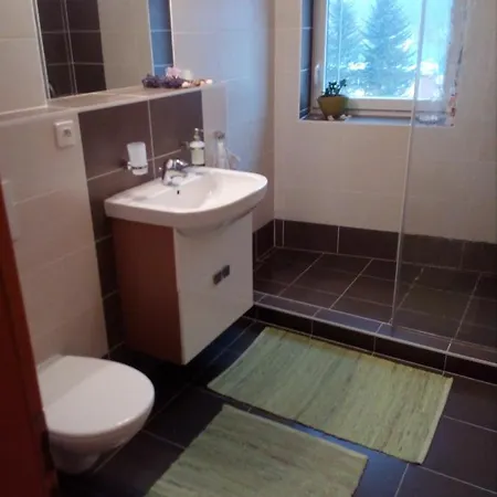 Apartment Apartman Zofie Destne v Orlickych horach