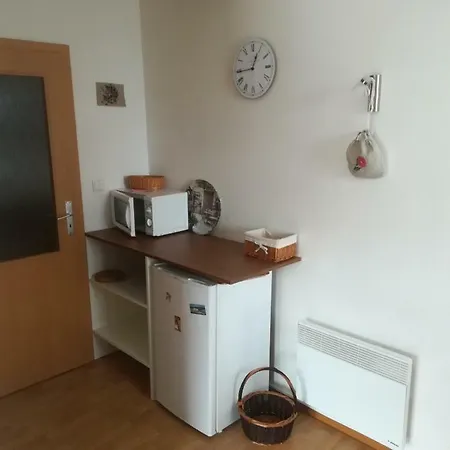 Apartman Zofie Destne v Orlickych horach